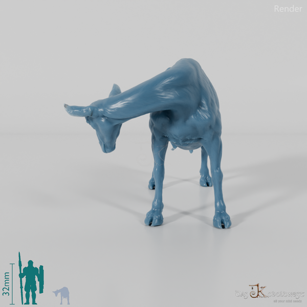 Ziege - Gebirgsziege 01