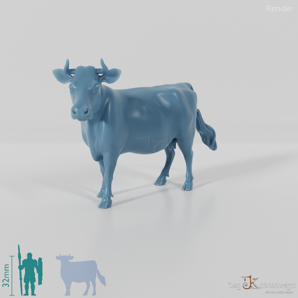 Rind - Kuh 02