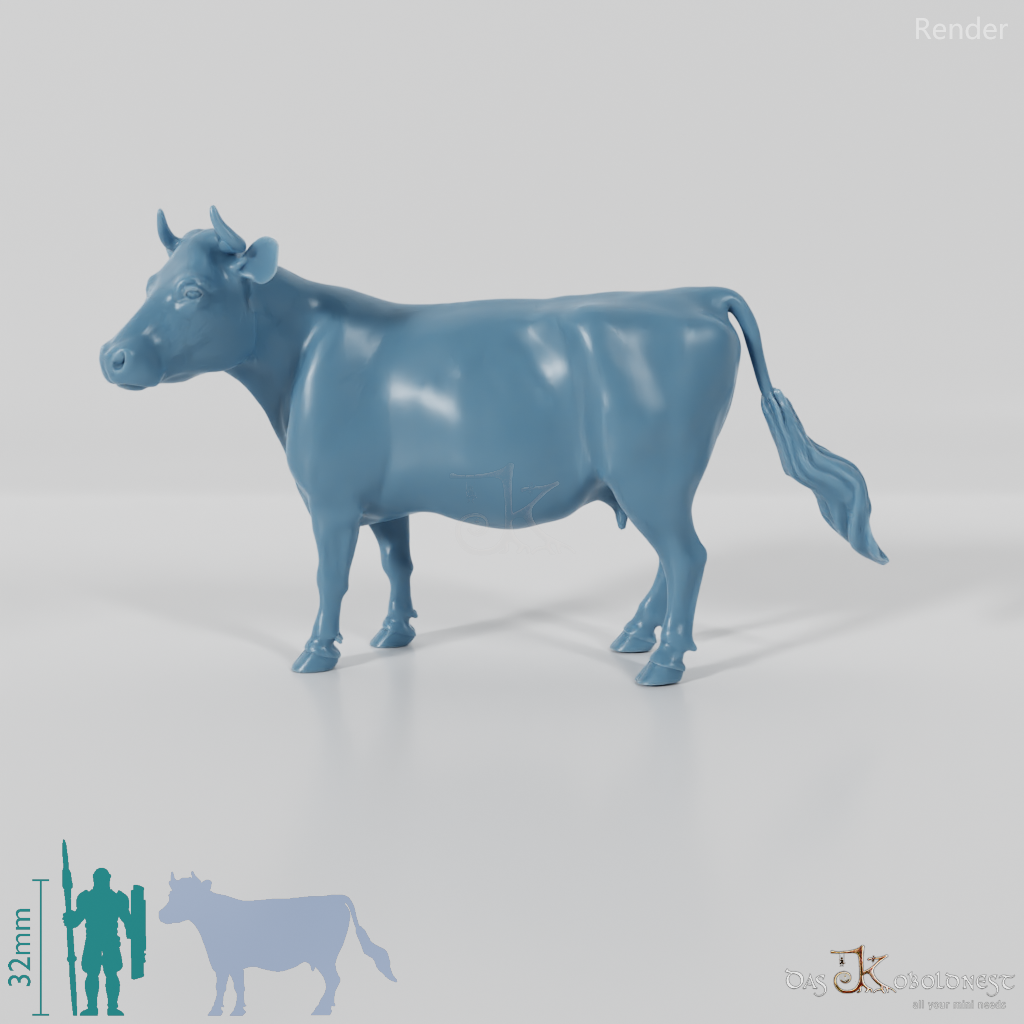 Rind - Kuh 02