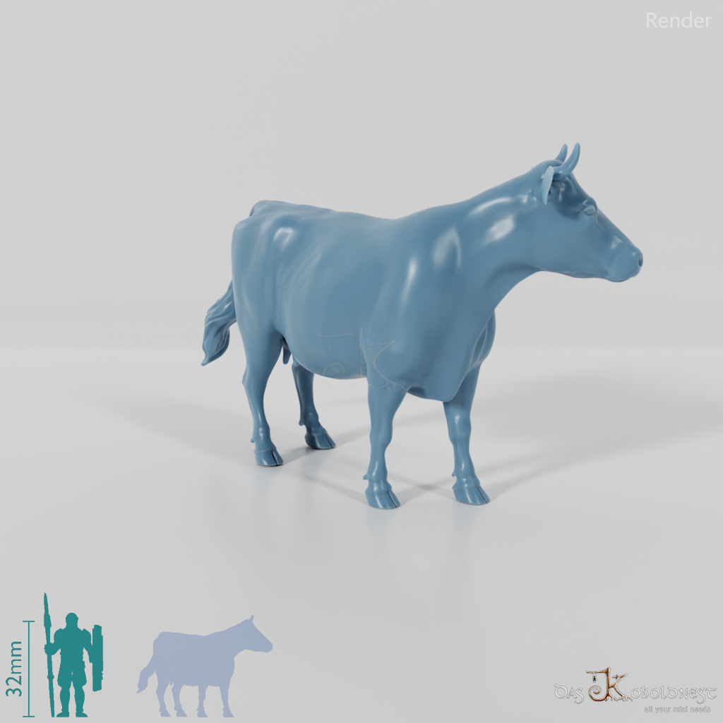 Rind - Kuh 02