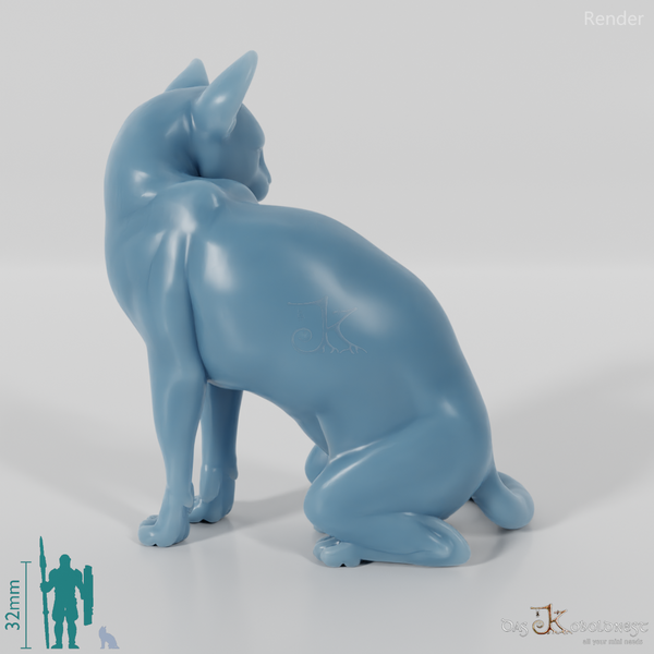 Katze - Sitzende Hauskatze 01