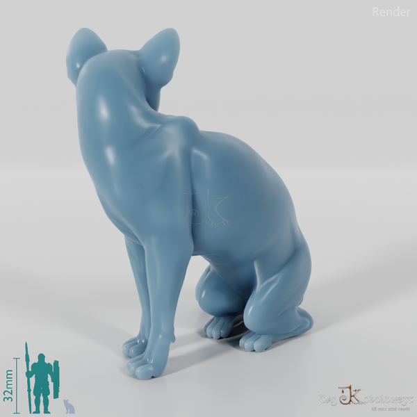 Katze - Sitzende Hauskatze 01