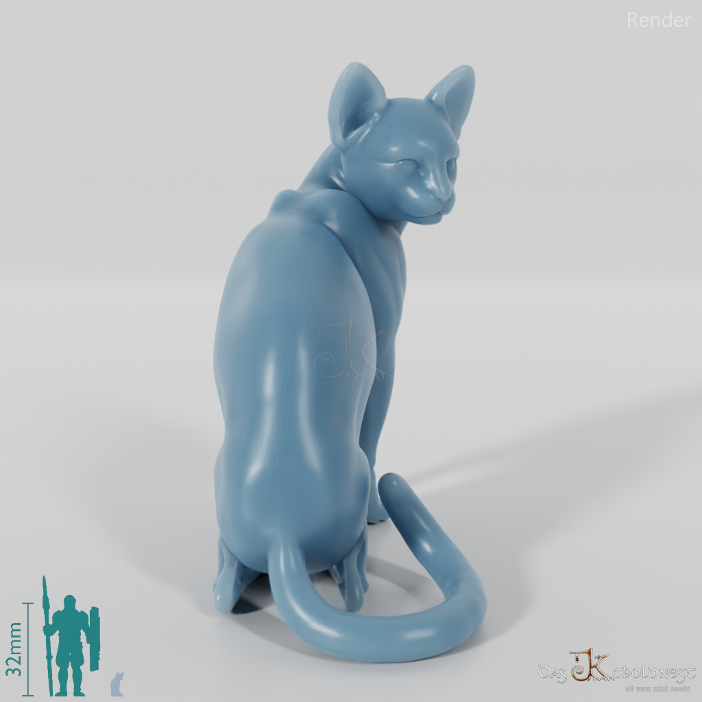 Katze - Sitzende Hauskatze 01