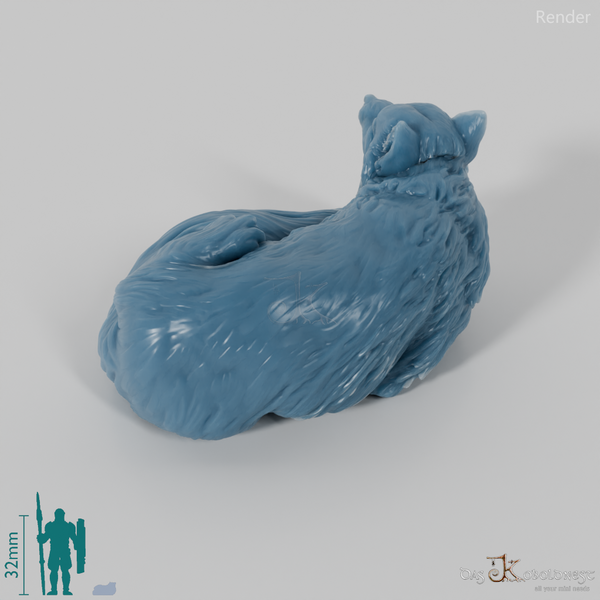 Fuchs - Polarfuchs 02