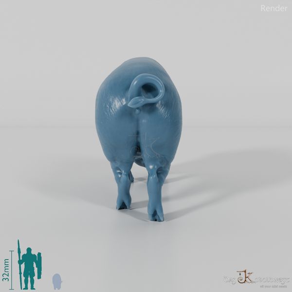 Schwein - Berkshire-Sau 02