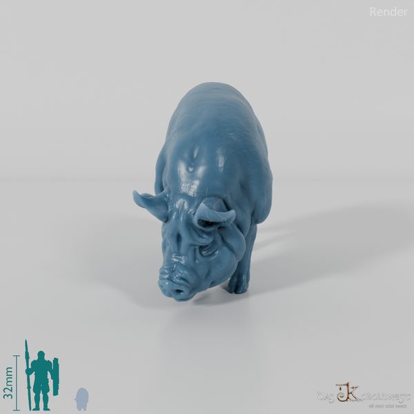 Schwein - Berkshire-Sau 02