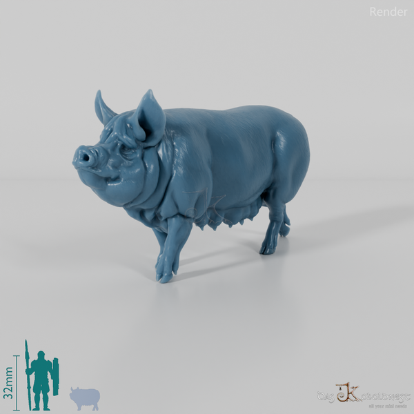 Schwein - Berkshire-Sau 01