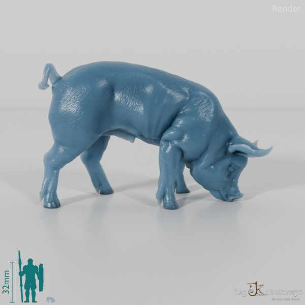 Schwein - Berkshire-Ferkel 02