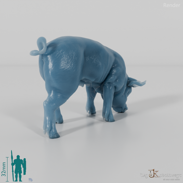 Schwein - Berkshire-Ferkel 02