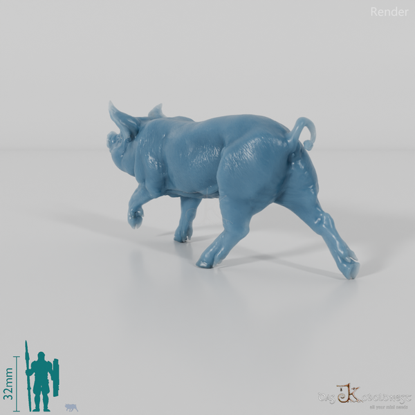 Schwein - Berkshire-Ferkel 04