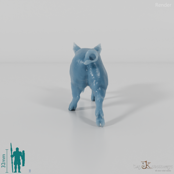 Schwein - Berkshire-Ferkel 04