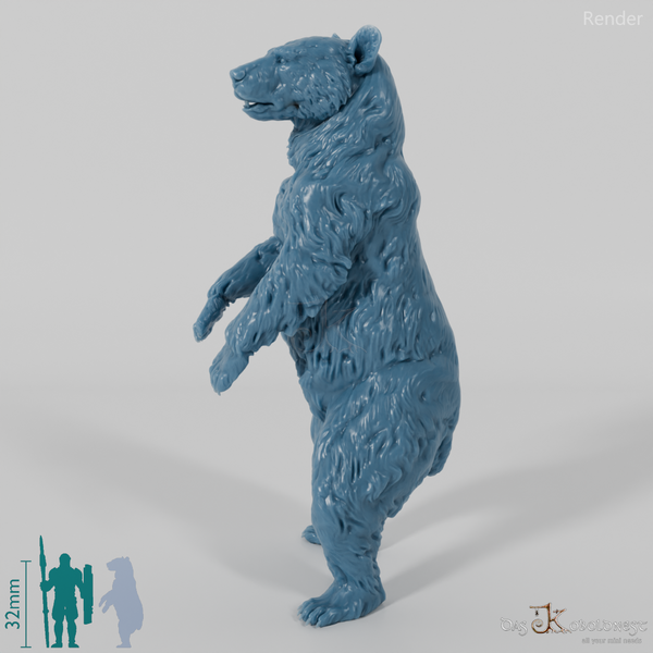 Bär - Amerikanischer Schwarzbär 03