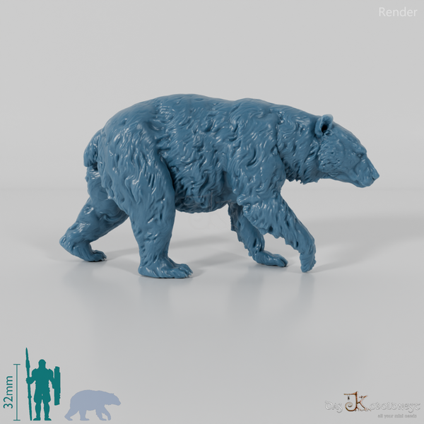 Bär - Amerikanischer Schwarzbär 01