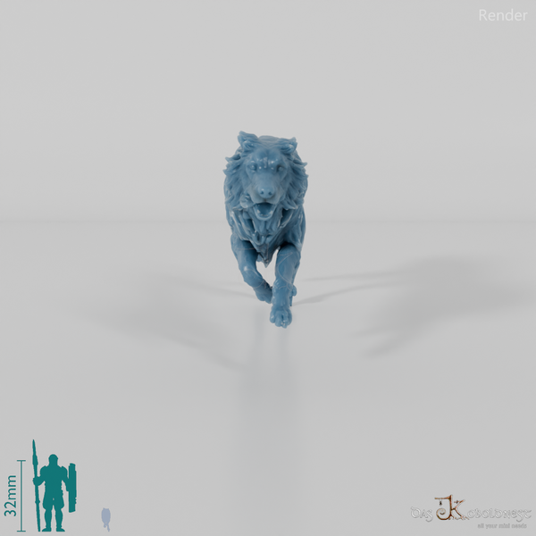 Hund - Border Collie 02