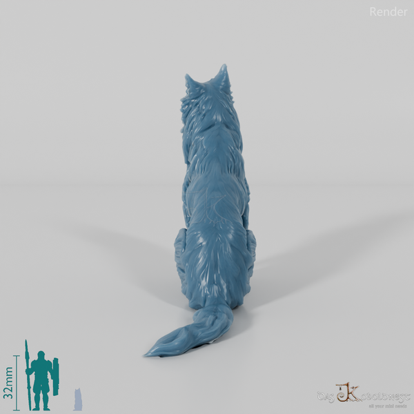 Hund - Border Collie 03