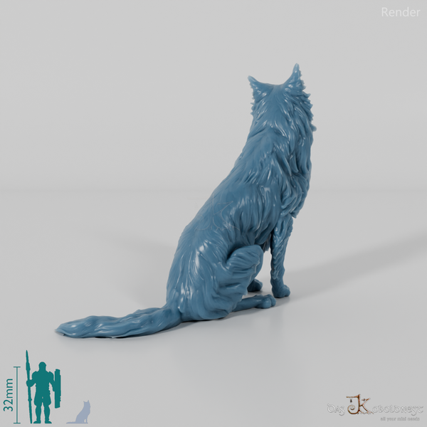 Hund - Border Collie 03