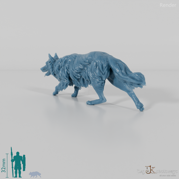 Hund - Border Collie 04