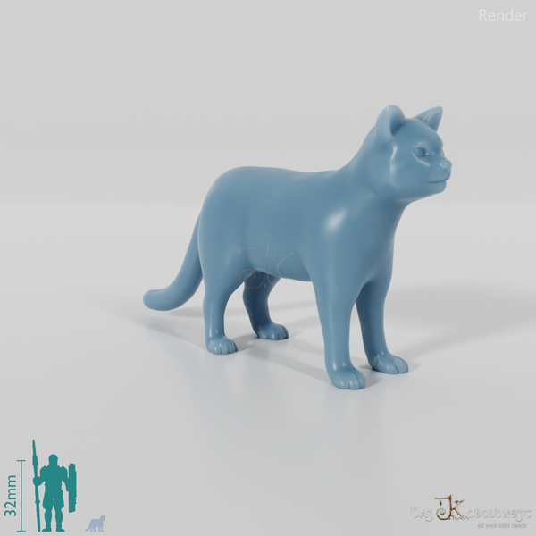 Katze - Hauskatze 01