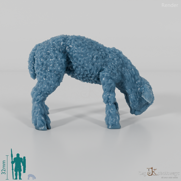 Schaf - Devon and Cornwall Longwool - Lamm 01