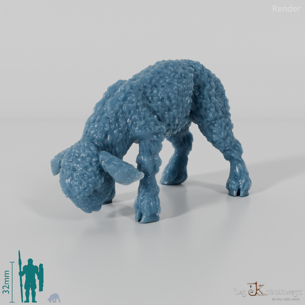 Schaf - Devon and Cornwall Longwool - Lamm 01