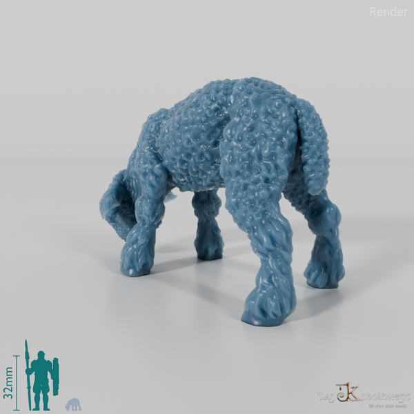 Schaf - Devon and Cornwall Longwool - Lamm 01