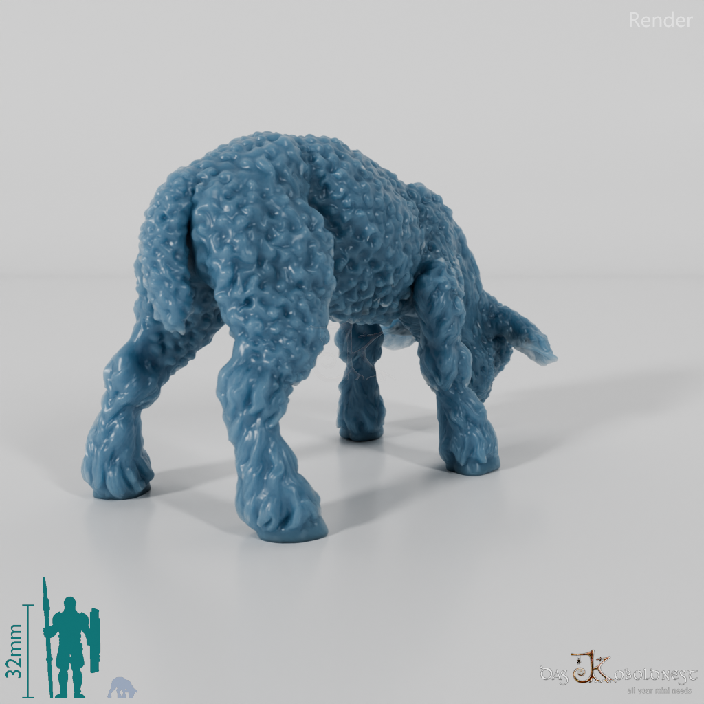 Schaf - Devon and Cornwall Longwool - Lamm 01