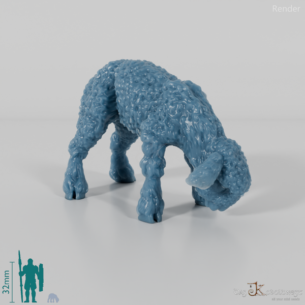 Schaf - Devon and Cornwall Longwool - Lamm 01