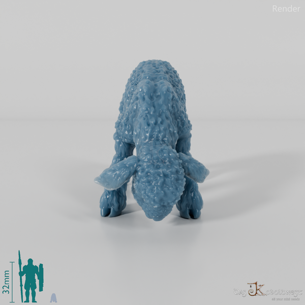 Schaf - Devon and Cornwall Longwool - Lamm 01