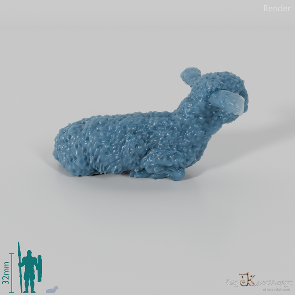 Schaf - Devon and Cornwall Longwool - Lamm 02