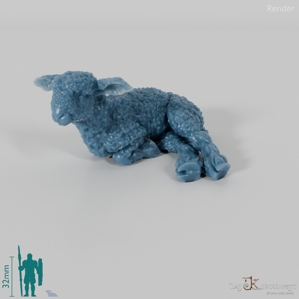 Schaf - Devon and Cornwall Longwool - Lamm 02