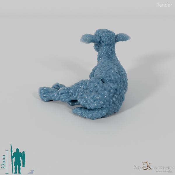 Schaf - Devon and Cornwall Longwool - Lamm 02