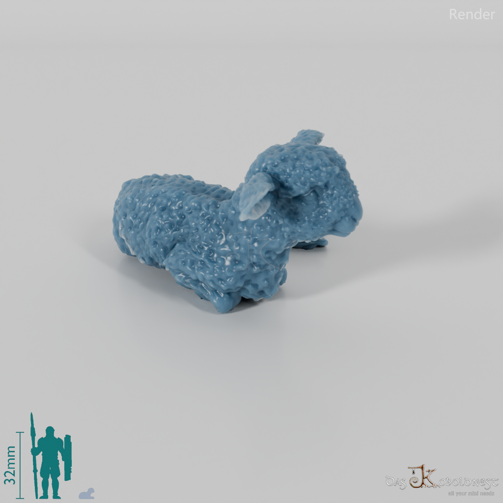 Schaf - Devon and Cornwall Longwool - Lamm 02