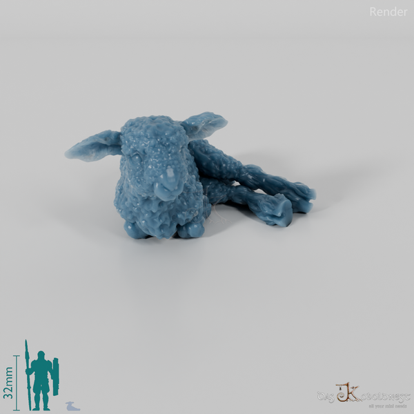 Schaf - Devon and Cornwall Longwool - Lamm 02