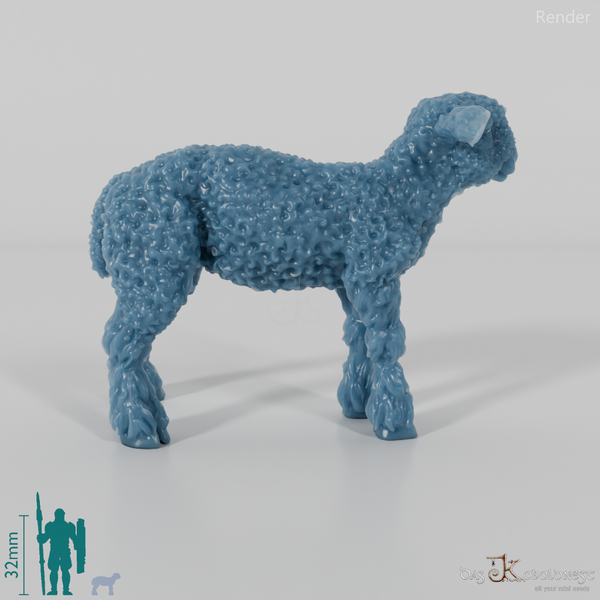 Schaf - Devon and Cornwall Longwool - Lamm 03