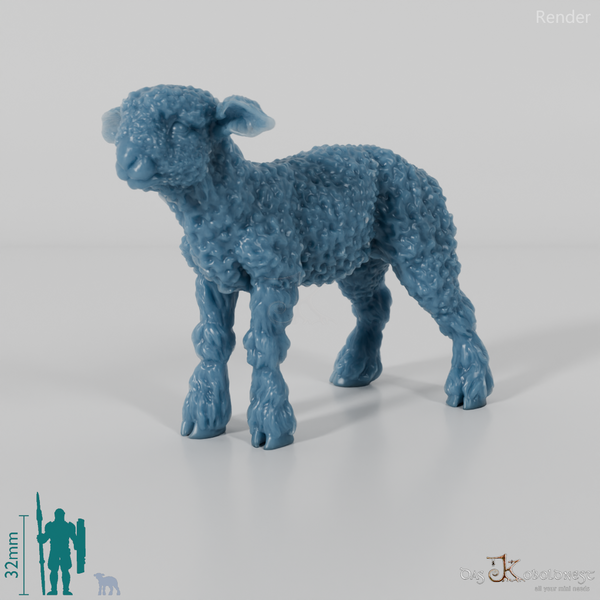 Schaf - Devon and Cornwall Longwool - Lamm 03