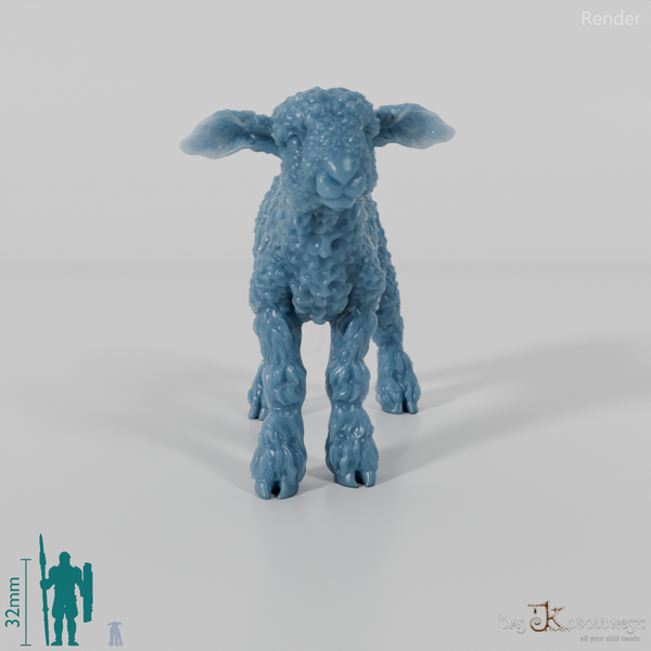 Schaf - Devon and Cornwall Longwool - Lamm 03