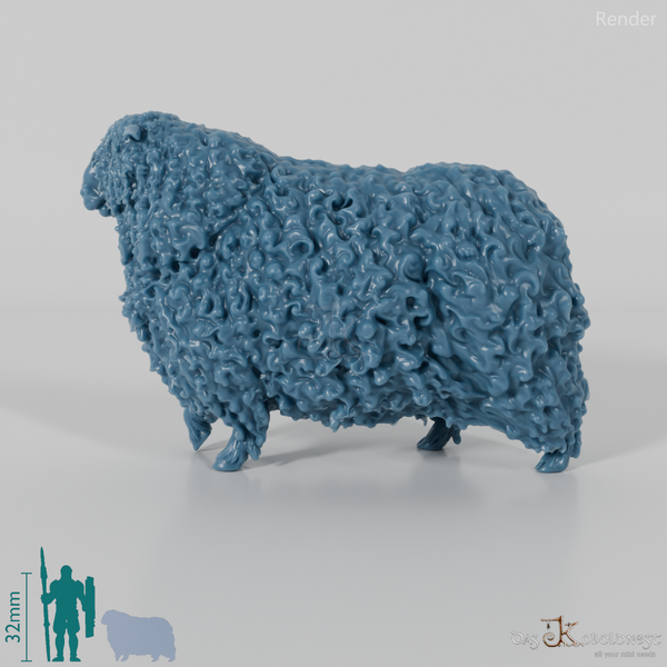 Schaf - Devon and Cornwall Longwool - Bock 03