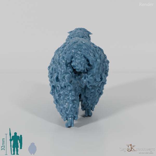 Schaf - Devon and Cornwall Longwool - Bock 03