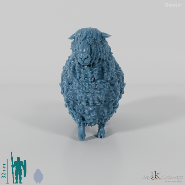 Schaf - Devon and Cornwall Longwool - Bock 03