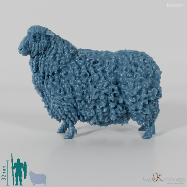 Schaf - Devon and Cornwall Longwool - Schaf 01