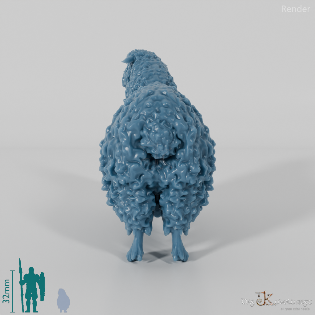 Schaf - Devon and Cornwall Longwool - Schaf 01