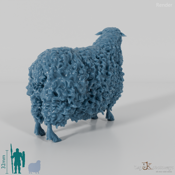 Schaf - Devon and Cornwall Longwool - Schaf 01