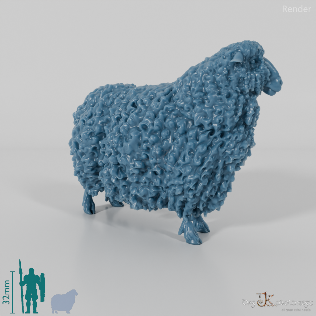 Schaf - Devon and Cornwall Longwool - Schaf 01