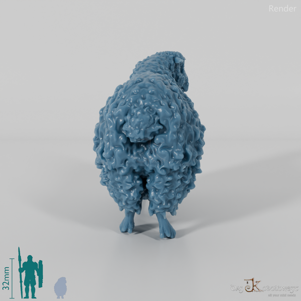 Schaf - Devon and Cornwall Longwool - Schaf 02