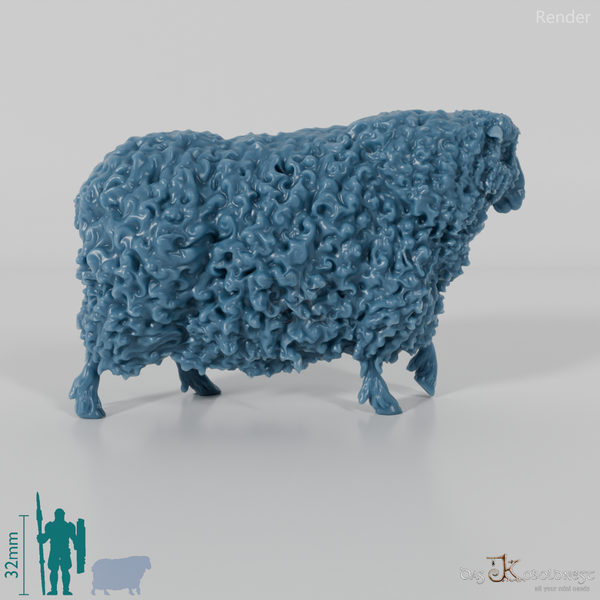 Schaf - Devon and Cornwall Longwool - Schaf 03