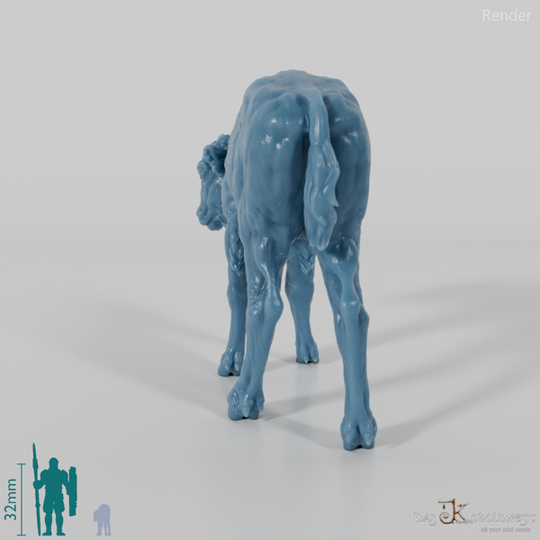 Bison - Europäischer Bison - Kalb 01