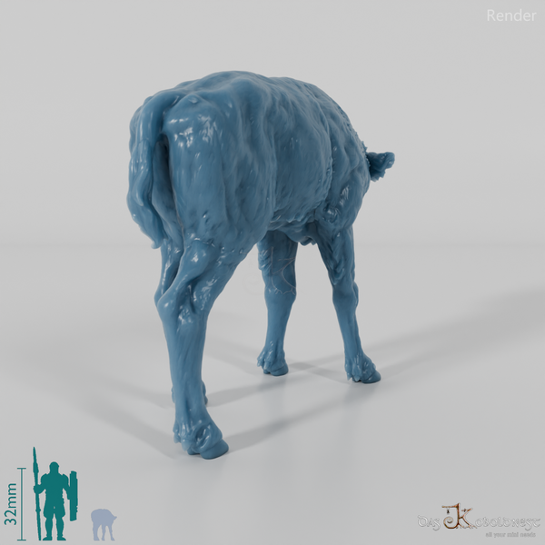 Bison - Europäischer Bison - Kalb 01