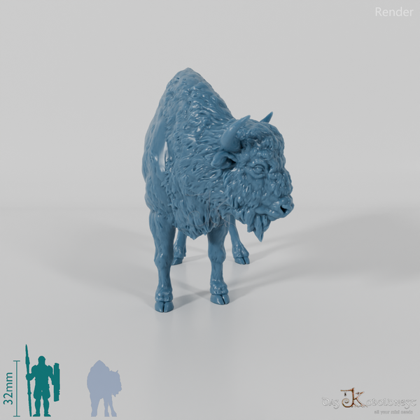 Bison - Europäischer Bison - Kuh 01