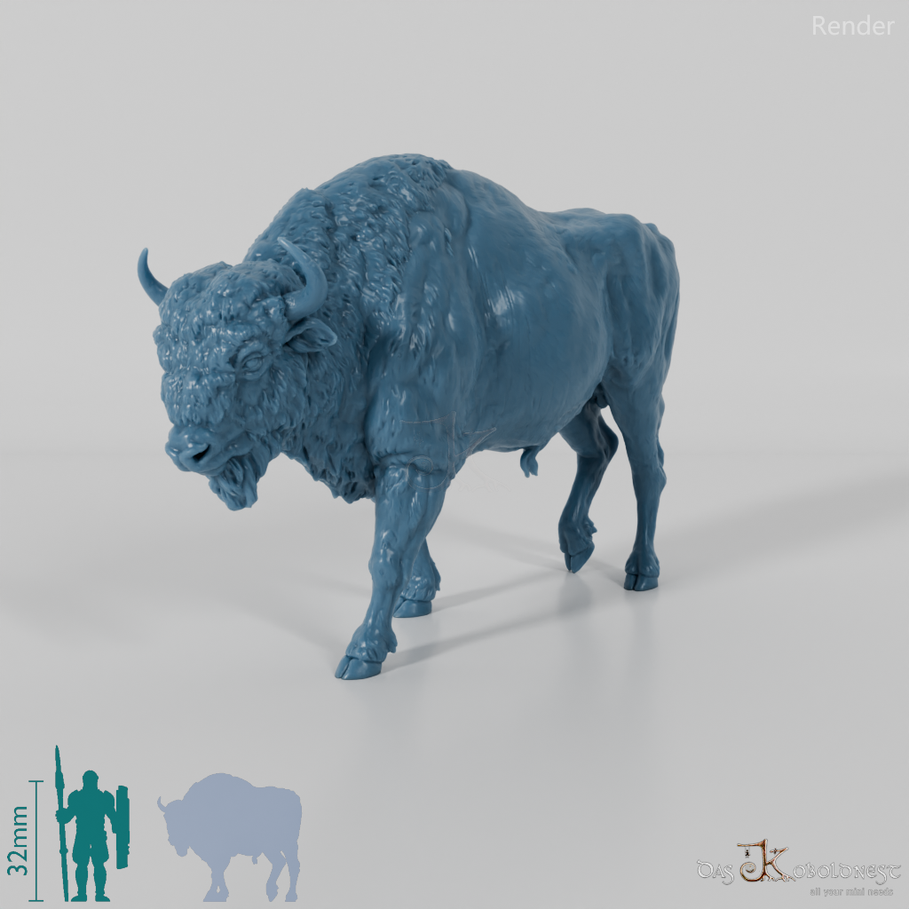 Bison - Europäischer Bison 01