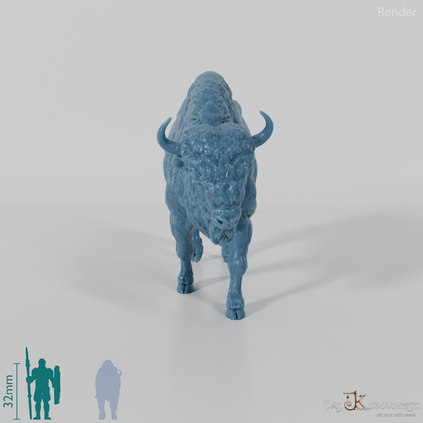 Bison - Europäischer Bison 01